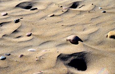 Fototapeta na wymiar Stones on sand at beach. Sea stones background at seashore. Colored stone on coastline. Stone on sand background at sea beach. Pebbles at coast. Pebble as abstract natural background. Sea stones. .