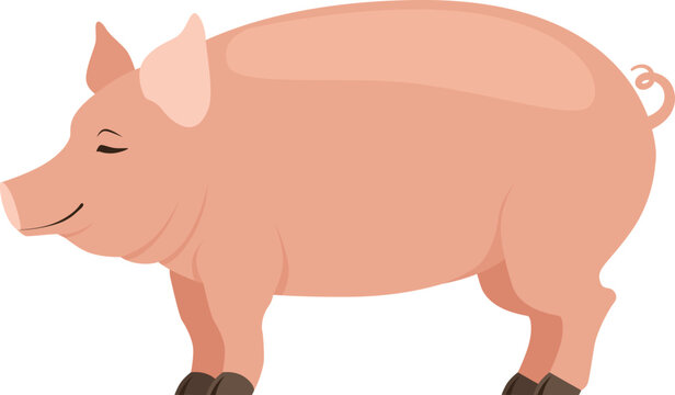 Cute piglet cartoon icon. Domestic farm animal