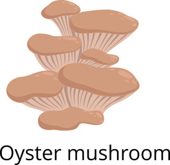 Oyster mushroom cartoon icon. Autumn forest fungus