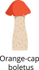 Orange cap boletus icon. Cartoon forest mushroom