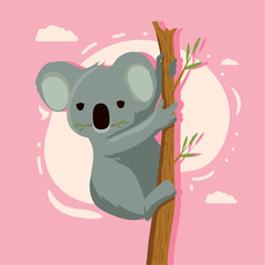 australian koala in tree