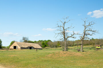 farming in Hungary