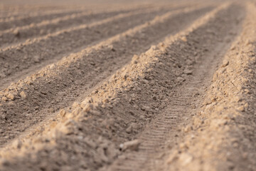 A large plowed agricultural field. Rows of beds ready for new plants.