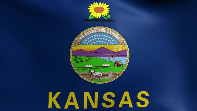 Kansas State Flag Loop