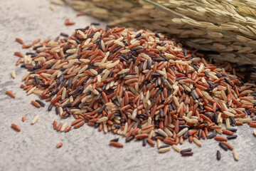 Raw three color jasmine rice.Thai rice grains