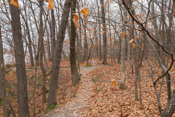 Bluff Trail.