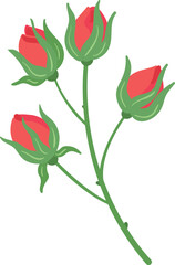 Red rose bud brunch. Fresh natural flower icon