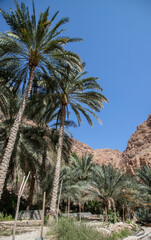 Fototapeta na wymiar Wadi Shaab, nature of Oman