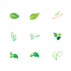Fototapeta na wymiar Tree leaf vector logo design, eco friendly concept