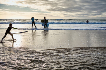 Fototapeta na wymiar un groupe de surfeurs marche et va défié les vagues de l'Atlantique en hiver