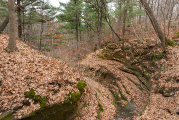 Bluff Trail.