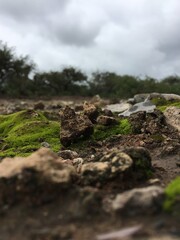 paisaje