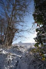 Promenade hivernale  en Creuse