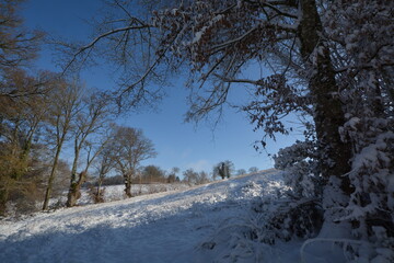 Promenade hivernale  en Creuse