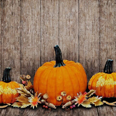 Erntedankfest - Happy Thanksgiving