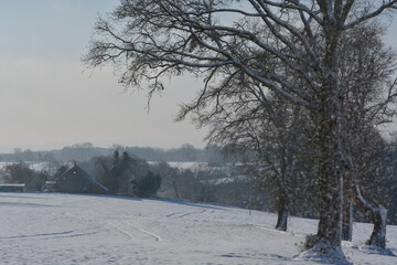 Promenade hivernale  en Creuse