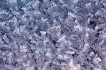 Close up picture of frost and snow on a car on a cold morning