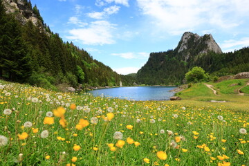 Naklejka na ściany i meble The Tanay lake is a lake in the canton of Valais in Switzerland