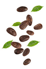 Flying or levitation Cocoa beans with leaves on white background.