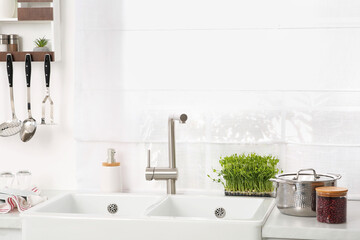 Stylish white sinks, utensils and microgreens in kitchen