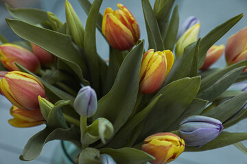 Beautiful bouquet of colorful tulips on color background, closeup view