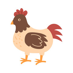 cute domestic farm birds