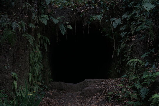 cave in the forest