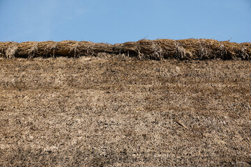 straw of the roof
