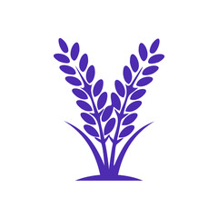 lavender flower logo icon vector