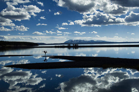 Yoga reflected in Yellowstone Lake in Yellowstone National park Wyoming.