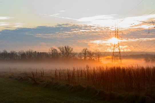 Sunrise through power lines and fog with tall grass