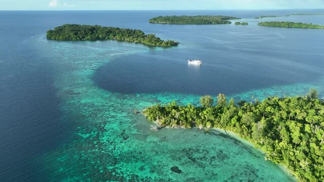 Lush, tropical islands are fringed by healthy coral reefs in the Solomon Islands. This beautiful country is home to spectacular marine biodiversity and many historic WWII sites.