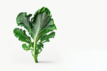 chinese kale, chinese broccoli isolated on white background. Fresh vegetable isolated on white. generative ai