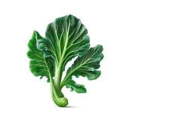 chinese kale, chinese broccoli isolated on white background. Fresh vegetable isolated on white.  Generative AI