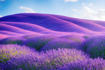 Field with rows of lavender flowers. Generative AI - obrazy, fototapety, plakaty