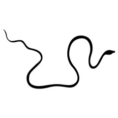 snake vector, icon, symbol, logo, clipart, isolated. vector illustration. vector illustration isolated on white background.