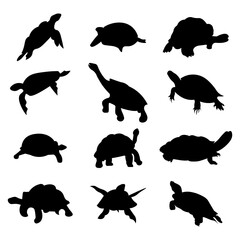 Set of turtle animal silhouettes of various styles