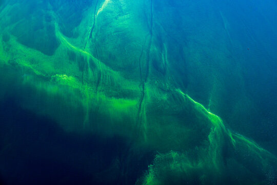 An algae bloom on Lake Victoria in Uganda