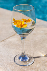 Glass of water with flowers near swimming pool, closeup
