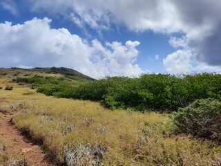 Paysage de Saint-Martin