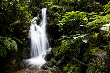 Waterfall in Bwindi Impenetrable Forest