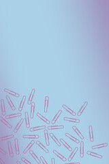 Pink Pastel Paper Clip on blue Pastel backgrounds	room for copy