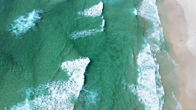 Aerial drone scene of ocean waves on paradisiacal beach with turquoise blue ocean and emerald green summer Florianópolis Praia do Santinho