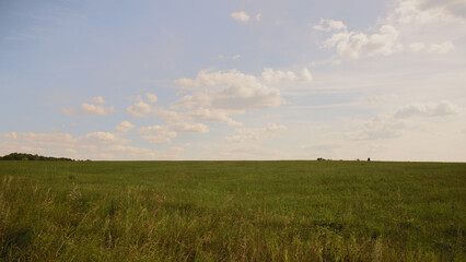 Obraz premium field and blue sky