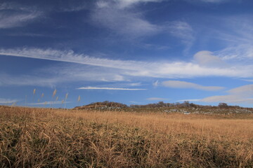 Fototapeta premium 四国カルスト カルスト台地と小麦色の草原