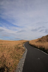 四国カルスト　カルスト台地と小麦色の草原