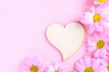 Fototapeta na wymiar Pink Chrysanthemum flower on pink background, Love Valentine concept