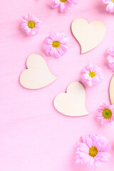 Pink Chrysanthemum flower on pink background, Love valentine concept