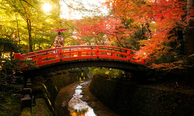 Asian traveler on Kimono traditional japanese dress walk on the red wooded bridge