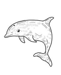 Animal on the oceans